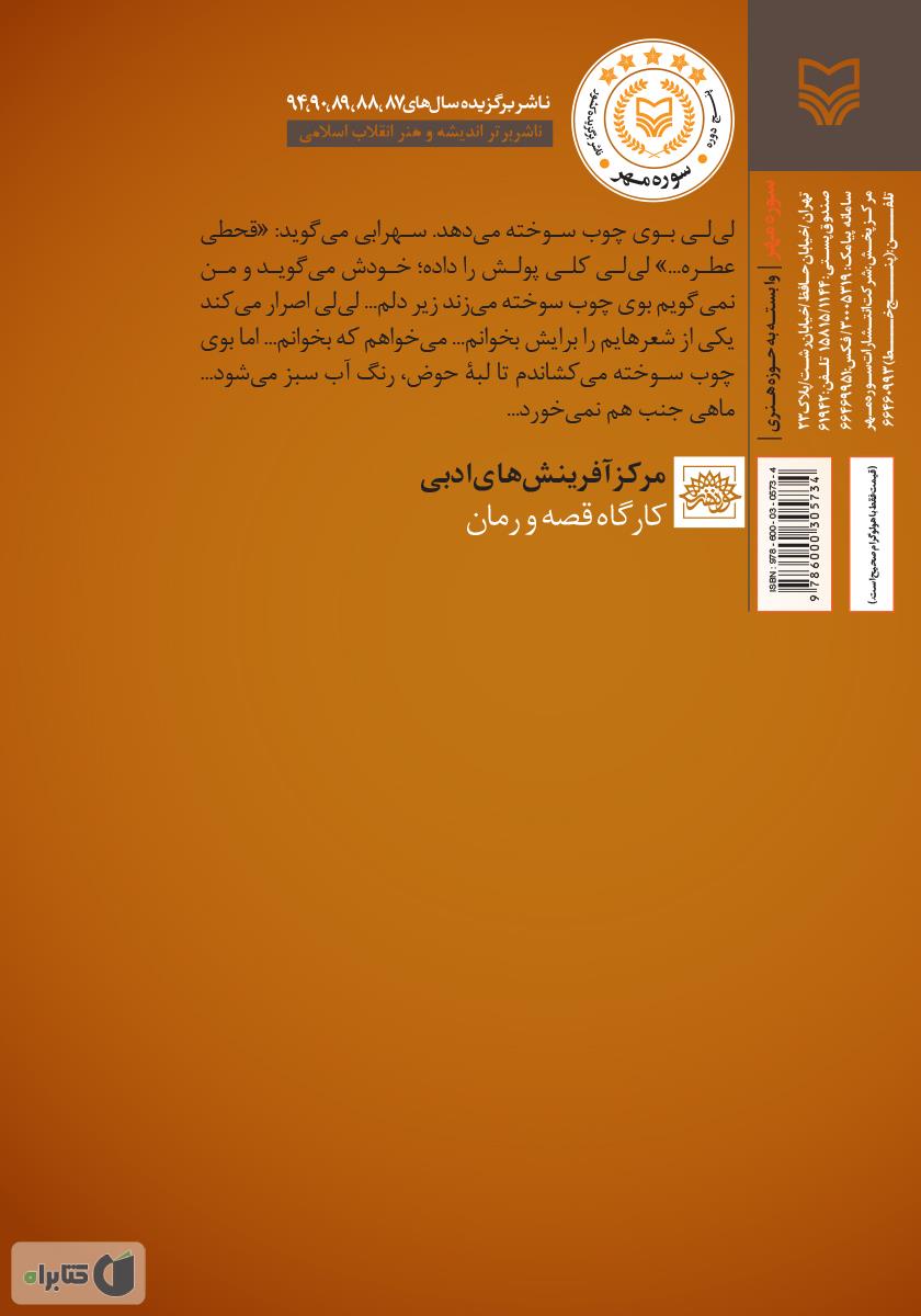 پشت جلد کتاب رویای یک عمارت فرعونی