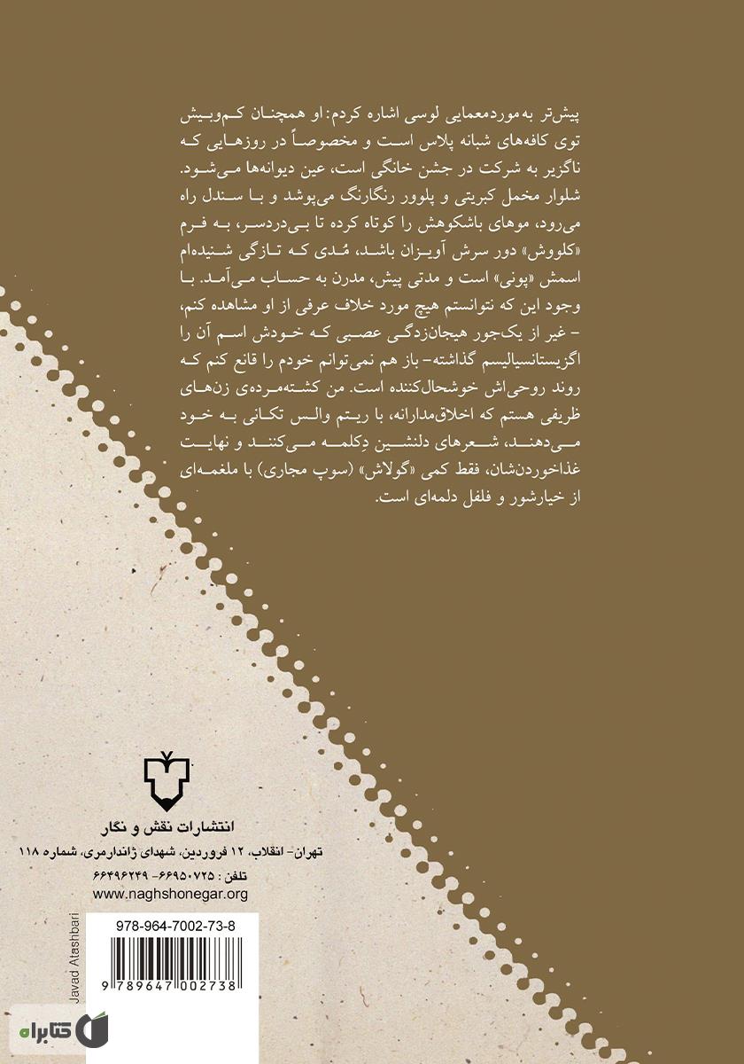 پشت جلد کتاب گم شدن در تصویر آینه: ده داستان کوتاه از نویسندگان آلمانی زبان