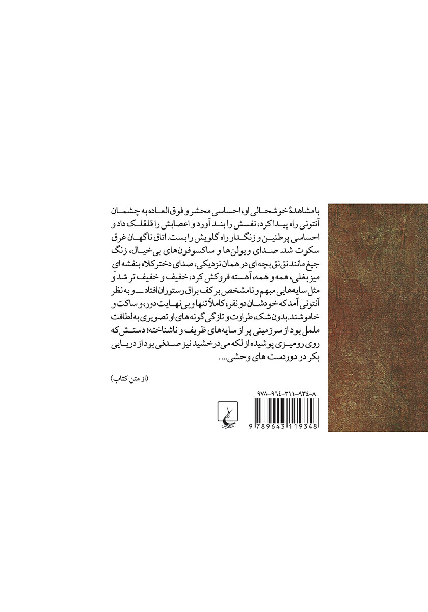 پشت جلد کتاب زیبا و ملعون