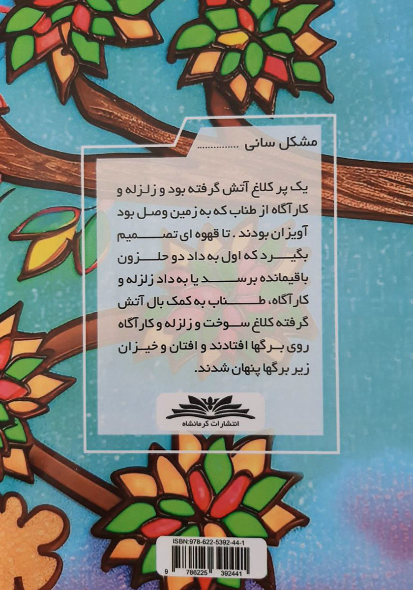 پشت جلد کتاب مشکل سانی
