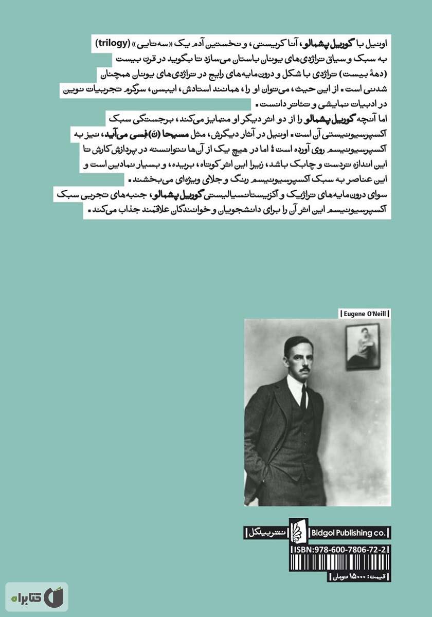 پشت جلد کتاب گوریل پشمالو