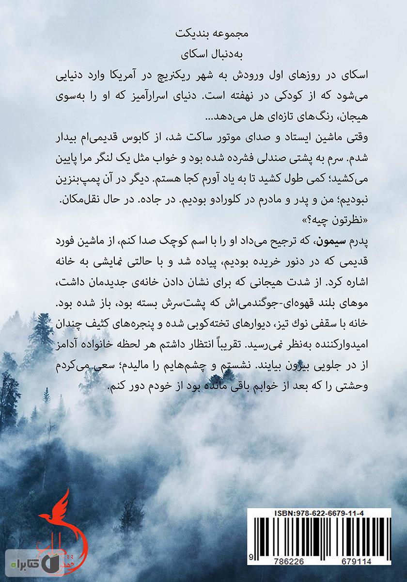 پشت جلد کتاب به دنبال اسکای