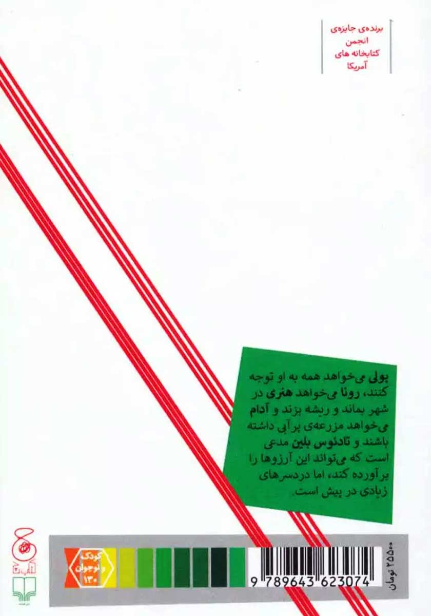 پشت جلد کتاب برآورندهی آرزو