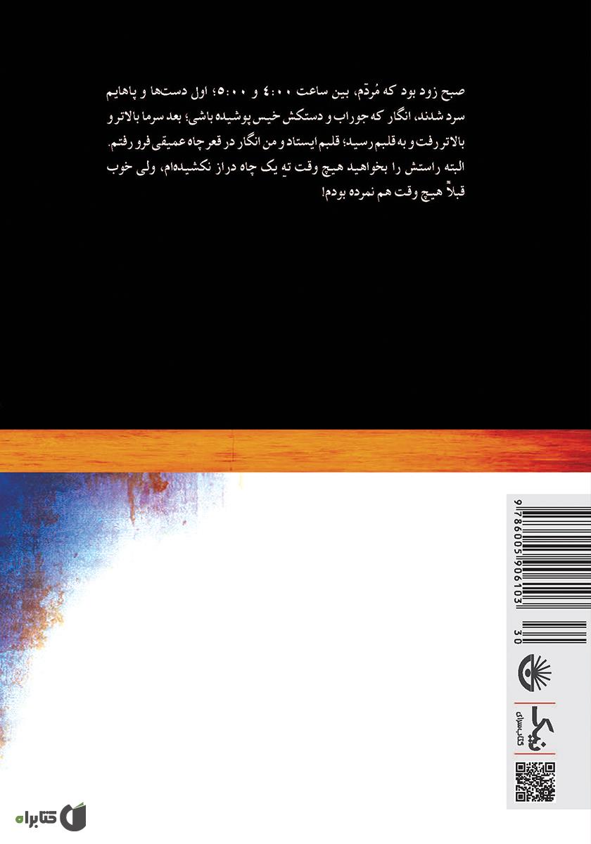 پشت جلد کتاب کتاب پایان شاد: گزیده‌ای از داستان‌های معاصر روسیه