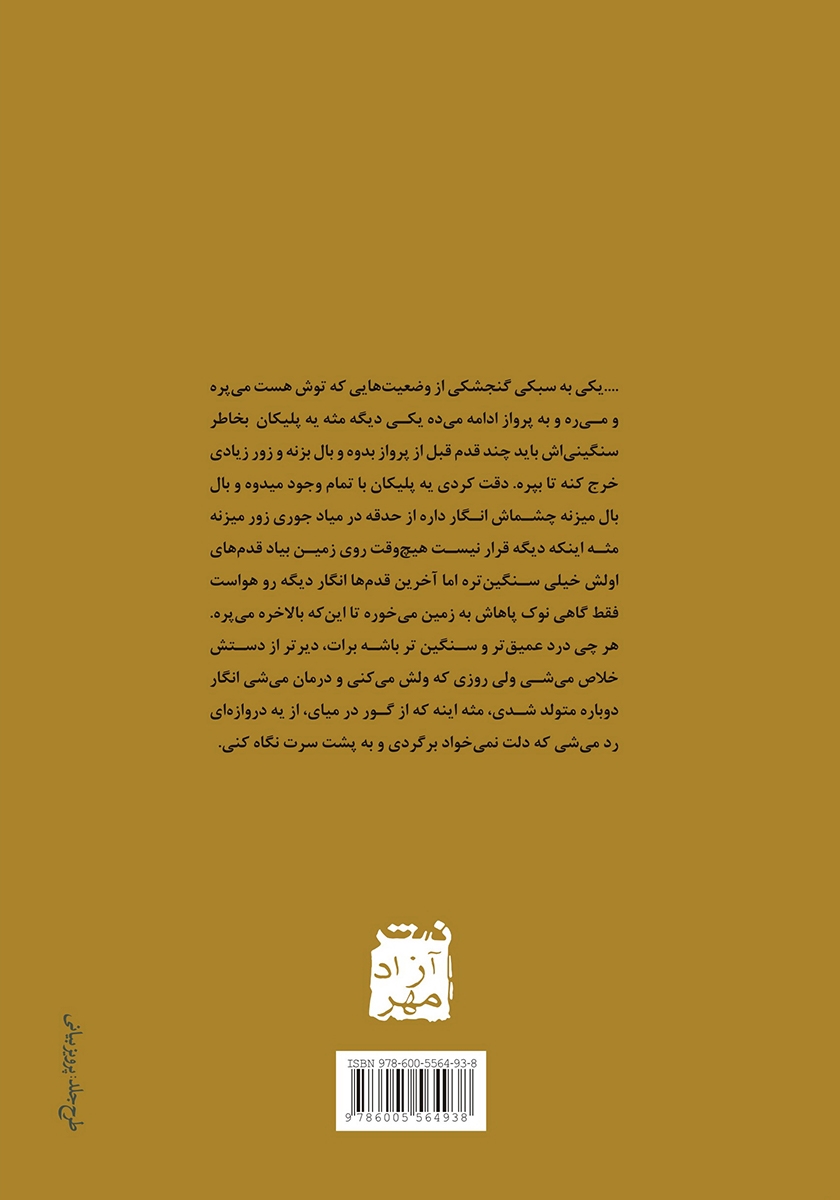 پشت جلد کتاب هفت گام یک پلیکان قبل از پرواز