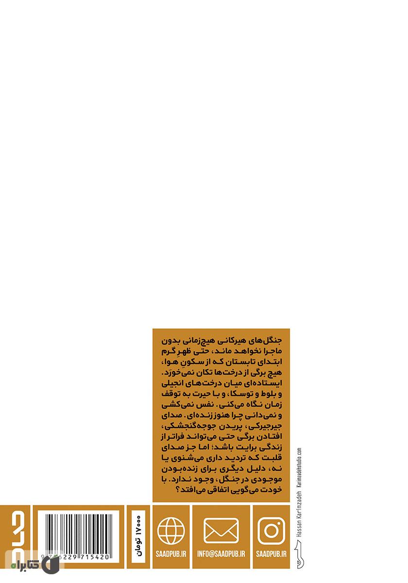 پشت جلد کتاب آلیش