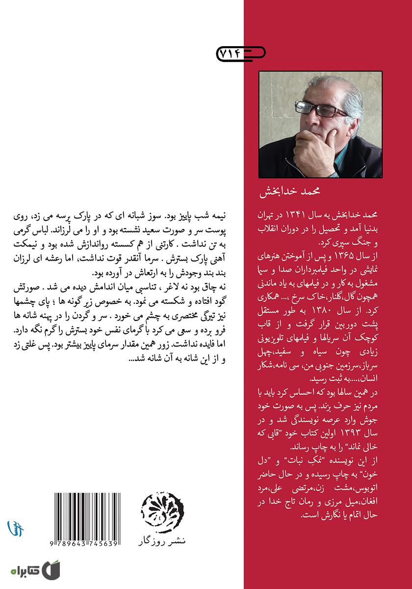 پشت جلد کتاب دستی بر خیال (دل خون)