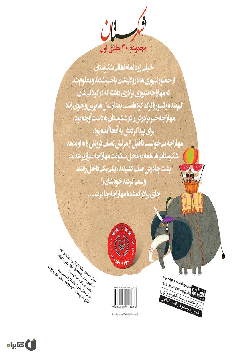 پشت جلد کتاب برادر گمشده