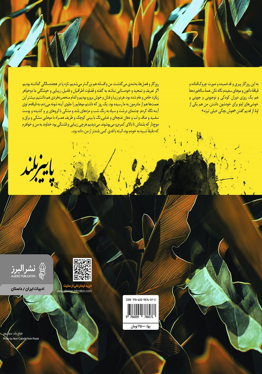 پشت جلد کتاب پاییز بلند