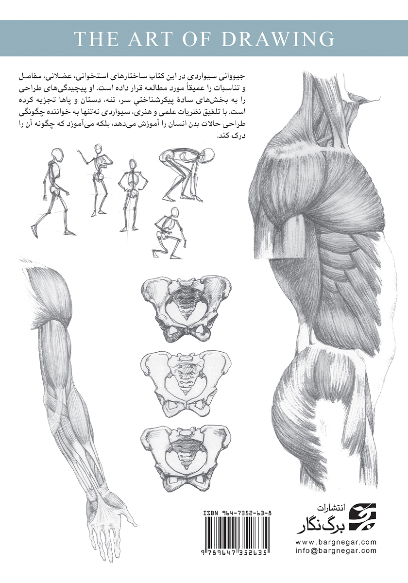 پشت جلد کتاب درک فرم و ساختار انسان