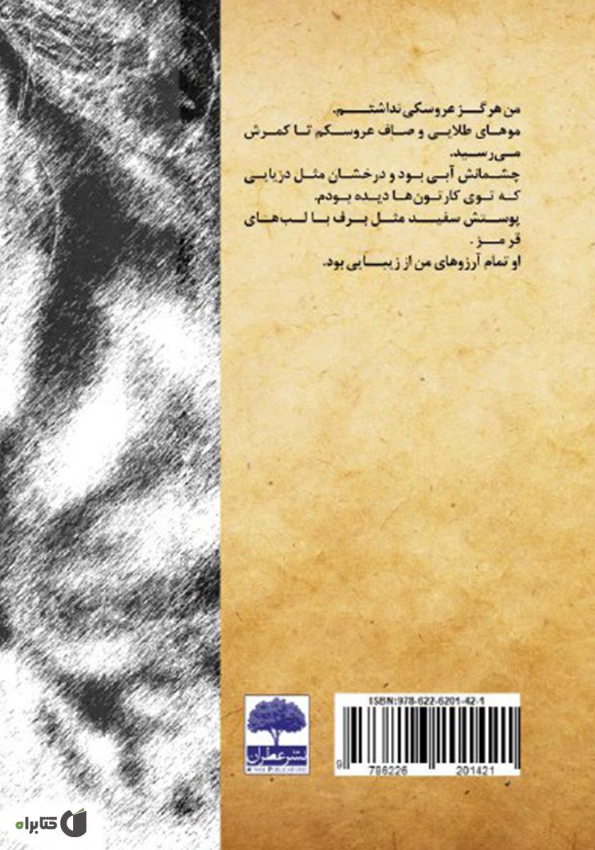 پشت جلد کتاب چشمان خاکستری