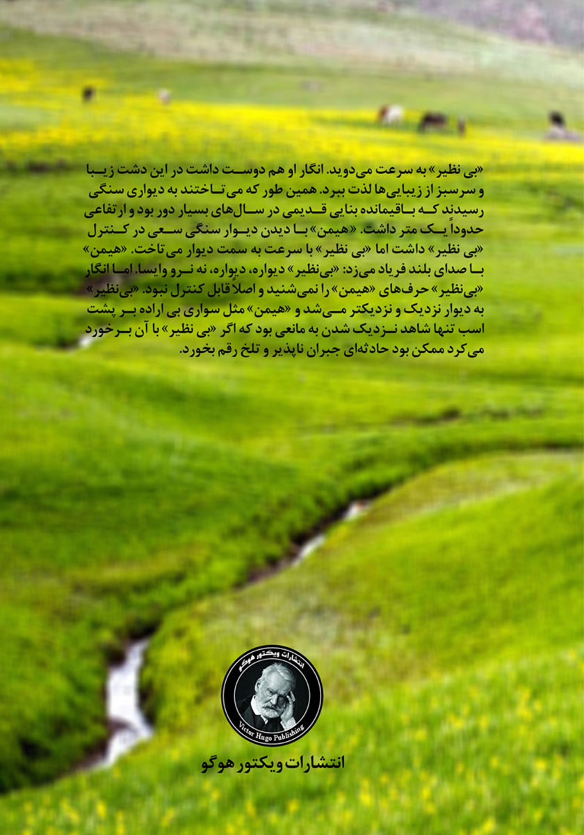 پشت جلد کتاب بینظیر