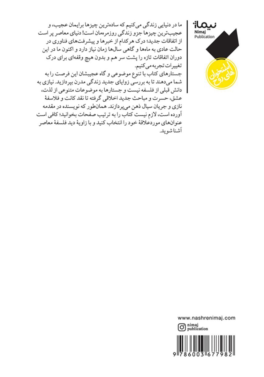 پشت جلد کتاب تئوری نفهم‌ها و دیگر رویدادهای فلسفی ناگوار