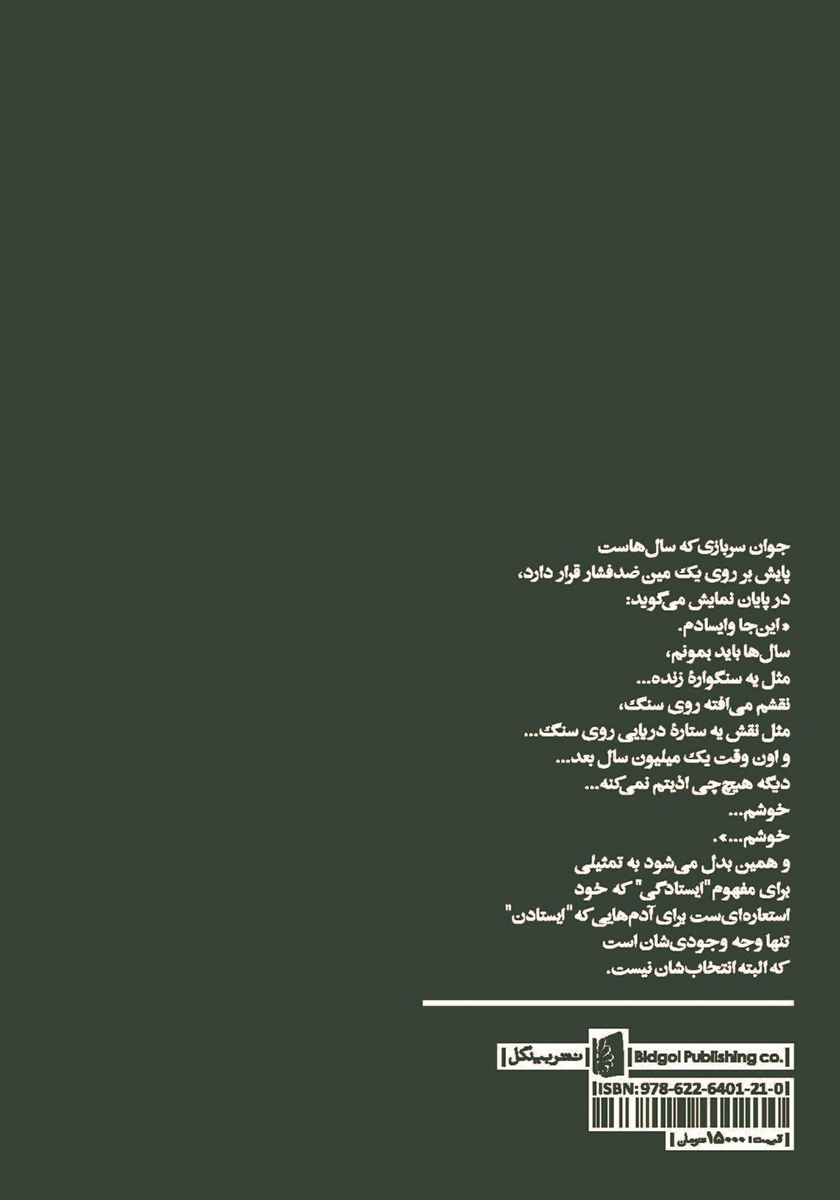 پشت جلد کتاب رقصی چنین...