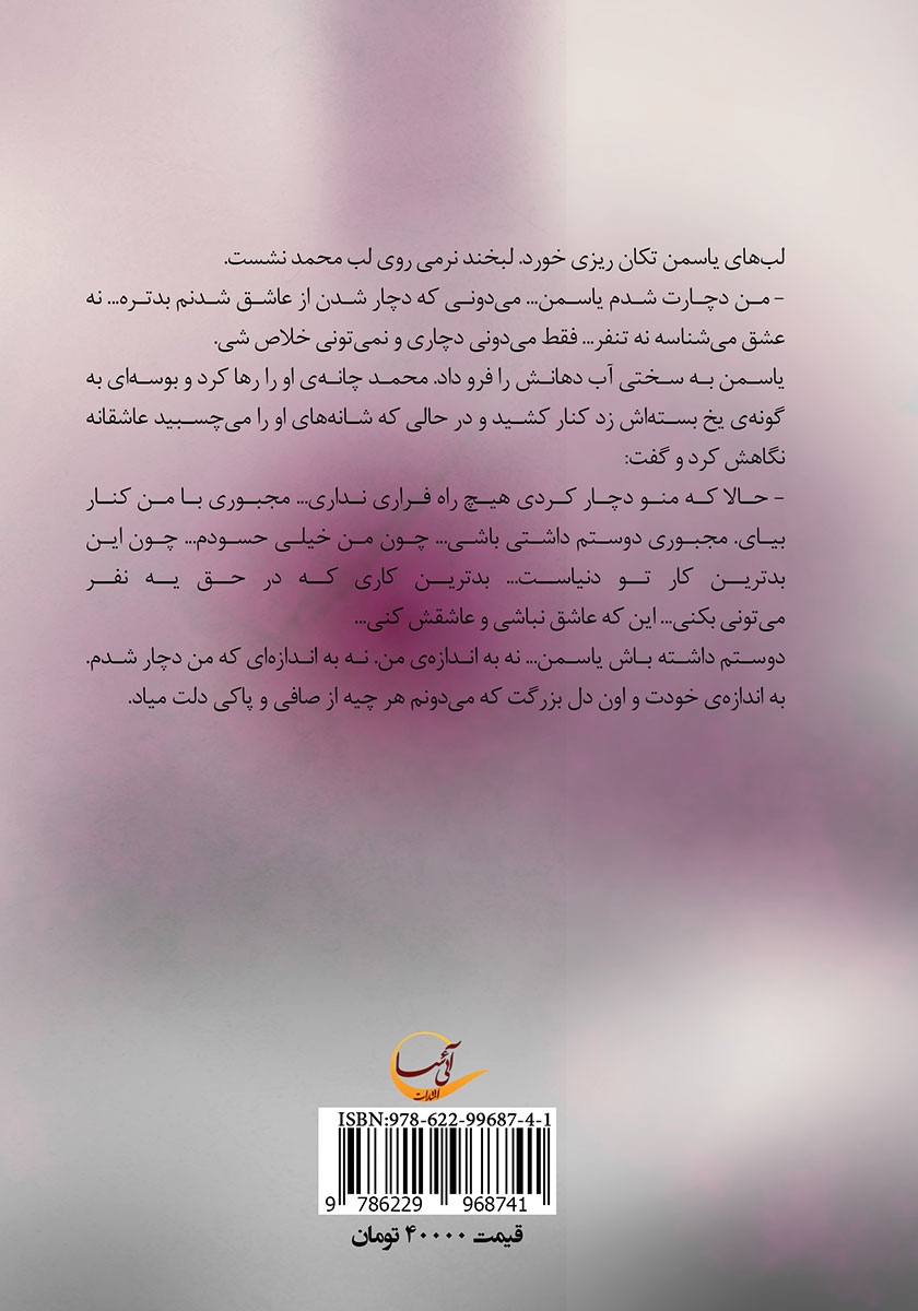 پشت جلد کتاب دچارت شدم