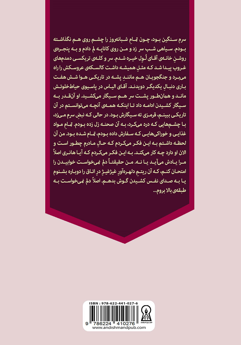 پشت جلد کتاب روح خیابان نوزدهم