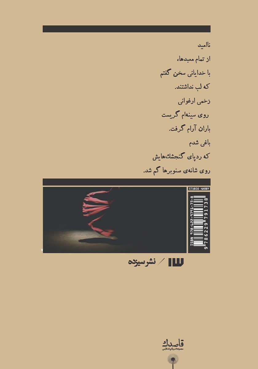 پشت جلد کتاب طاقهای ضربی مغولها