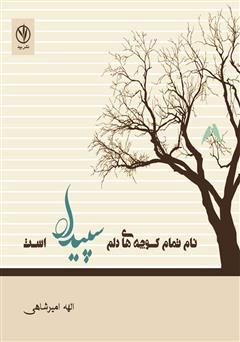 معرفی و دانلود کتاب نام تمام کوچه‌های دلم سپیدار است