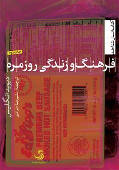 معرفی و دانلود کتاب فرهنگ و زندگی روزمره
