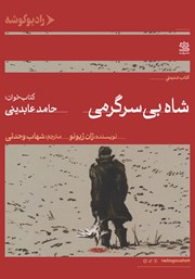 کتاب صوتی شاه بیسرگرمی