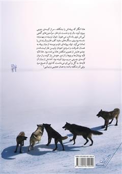 پشت جلد کتاب کتاب اینجا صدای گرگ‌ها بلندتر است