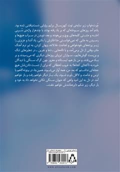 پشت جلد کتاب کتاب مرداب سایهها: مجموعه داستان پشت جلد کتاب کتاب مرداب سایهها: مجموعه داستان