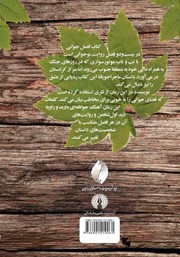 پشت جلد کتاب کتاب فصل جوانی