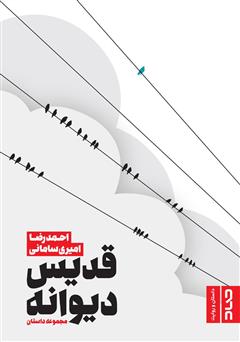 معرفی و دانلود کتاب قدیس دیوانه