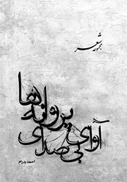 معرفی و دانلود کتاب آوای بی‌صدای پروانه‌ها