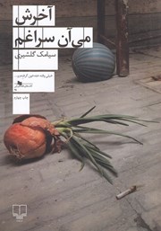 کتاب آخرش می‌آن سراغم