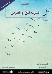 معرفی و دانلود خلاصه کتاب صوتی قدرت تلخ و شیرین
