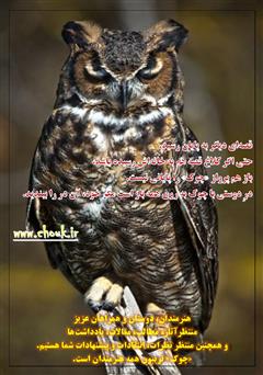پشت جلد کتاب ماهنامه ادبیات داستانی چوک - شماره 104