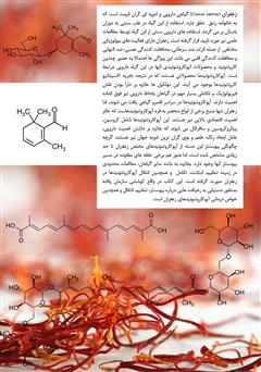 پشت جلد کتاب کتاب آپوکاروتنوئیدهای زعفران: از بیوسنتز تا خواص درمانی پشت جلد کتاب کتاب آپوکاروتنوئیدهای زعفران: از بیوسنتز تا خواص درمانی