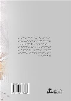 پشت جلد کتاب رمان آبباریک