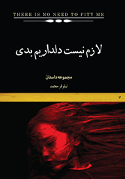 معرفی و دانلود کتاب لازم نیست دلداریم بدی