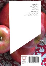 پشت جلد کتاب کتاب رویاها برگشتهاند؟! پشت جلد کتاب کتاب رویاها برگشتهاند؟!