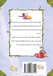 پشت جلد کتاب کتاب پری یه آب سیلورمیست و نفرین کفشدوزک