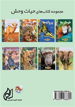 پشت جلد کتاب کتاب پروانهها پشت جلد کتاب کتاب پروانهها