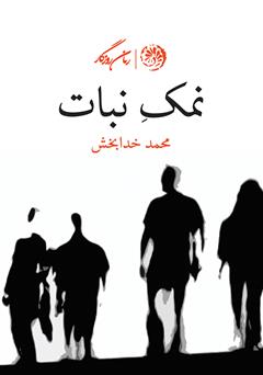 معرفی و دانلود کتاب نمک نبات