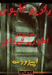 معرفی و دانلود خلاصه کتاب صوتی مردی در اتاق زیر شیروانی: رادیو کابوس - اپیزود سوم