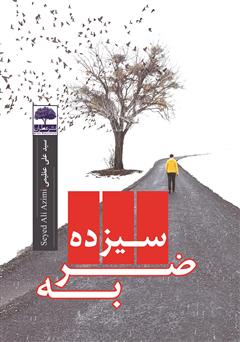 معرفی و دانلود کتاب سیزده ضربه
