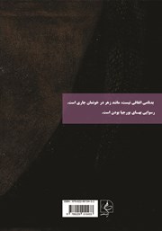 پشت جلد کتاب کتاب شاهدخت واتیکان پشت جلد کتاب کتاب شاهدخت واتیکان