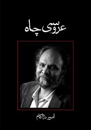 معرفی و دانلود کتاب عروسی چاه