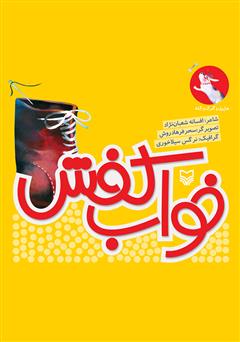 معرفی و دانلود کتاب خواب کفش