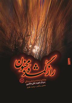 معرفی و دانلود کتاب راز گمشده مجنون