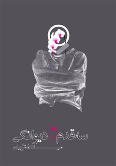 معرفی و دانلود کتاب سه قدم تا دیوانگی