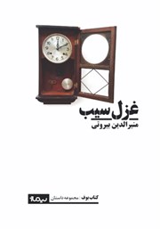 معرفی و دانلود کتاب غزل سیب