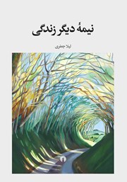معرفی و دانلود کتاب نیمه‌ی دیگر زندگی
