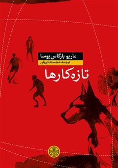 معرفی و دانلود کتاب تازه کارها