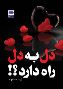 معرفی و دانلود کتاب دل به دل راه دارد؟